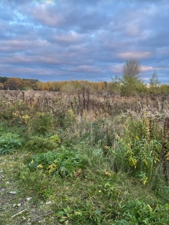 Działka o pow. 7000 m2 w Sierakowie. miniaturka 3