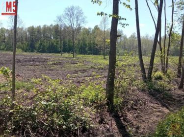 Białystok Halickie, 430 000 zł, 25.45 ar, budowlana