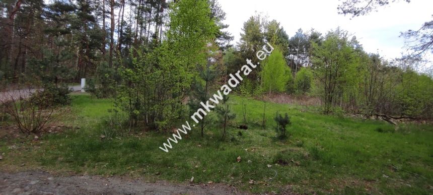 Piękna działka otoczona lasem 2 316 m2, Czarny las miniaturka 4