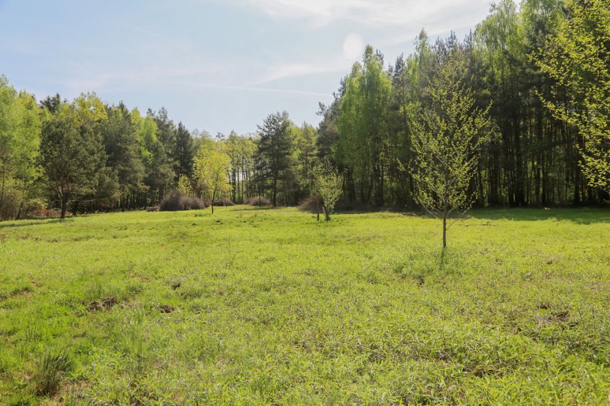4 działki rolno-budowlane- Bielcza- Małopolska miniaturka 9