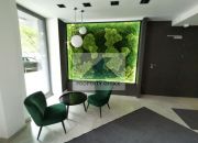 Śródmieście: biuro 424,45 m2 miniaturka 3
