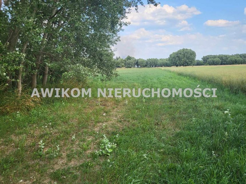 Holendry Baranowskie, 154 840 zł, 11.06 ar, woda w drodze miniaturka 5