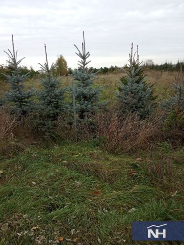 Słońsko, 130 000 zł, 22.03 ar, budowlana