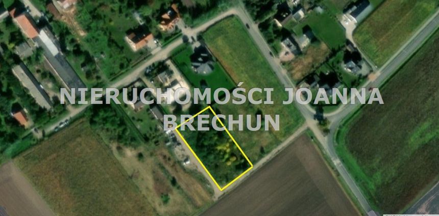 Ziębice przy lesie - zdjęcie 1