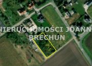 Ziębice przy lesie miniaturka 1