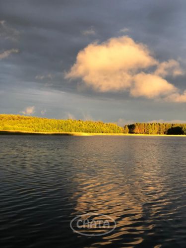 Huta Wielka, 149 000 zł, 30.45 ar, rolna