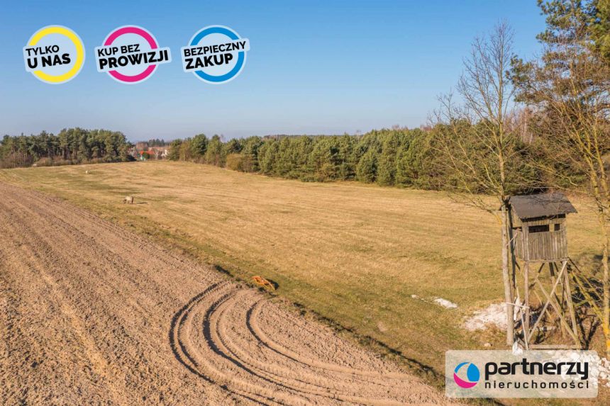 Zwierzewo, 1 499 000 zł, 1.29 ha, droga dojazdowa gruntowa miniaturka 12