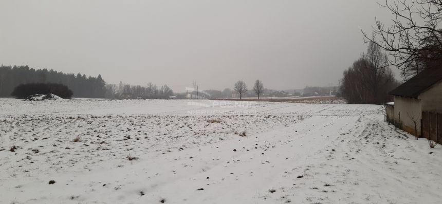 Idealne leśne zacisze Cisza Spokój Opcja podziału miniaturka 12