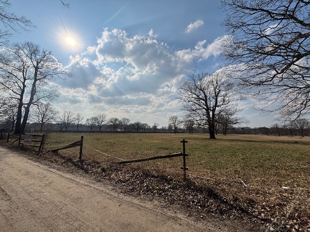 Działka 3,74 ha 30 km od Warszawy, rzeka, las miniaturka 14