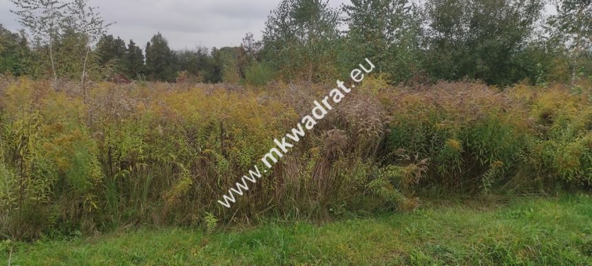 Działka 2435 m Błonie - spokojna i miła okolica miniaturka 4