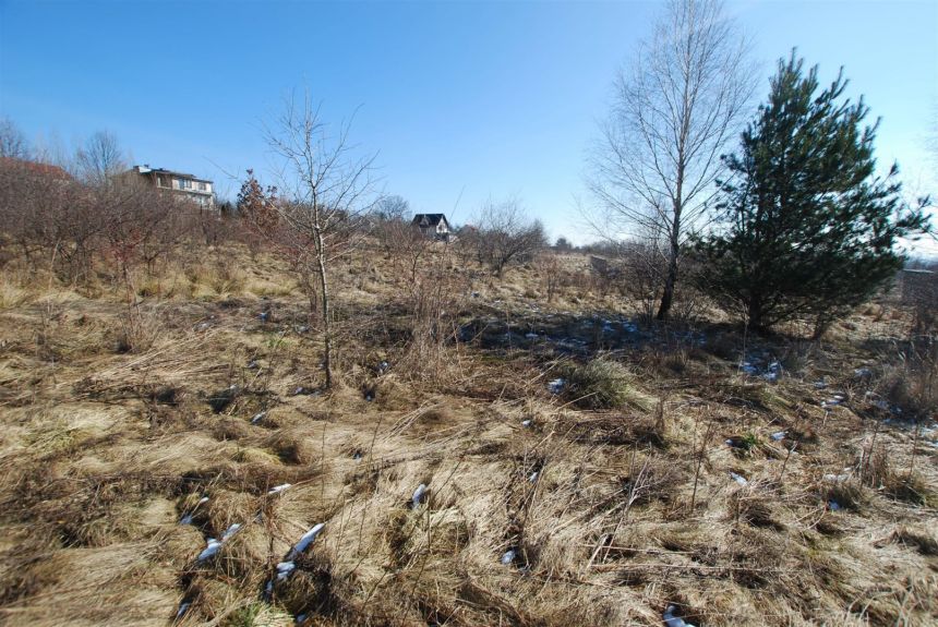 Działka 1000 m2 Mąchocice Kapitulne gm. Masłów miniaturka 4