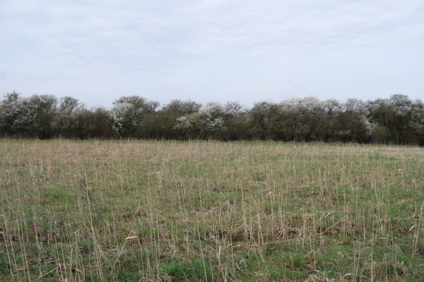Działka 69a pod budownictwo- Stobierna miniaturka 4