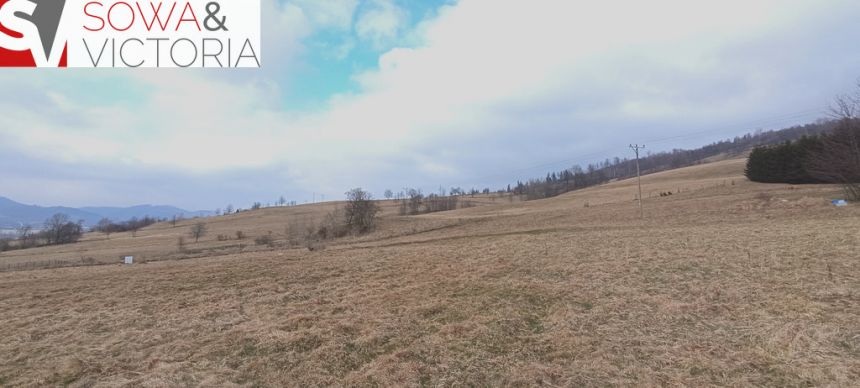 Słoneczna, widokowa działka budowlana w Głuszycy miniaturka 4