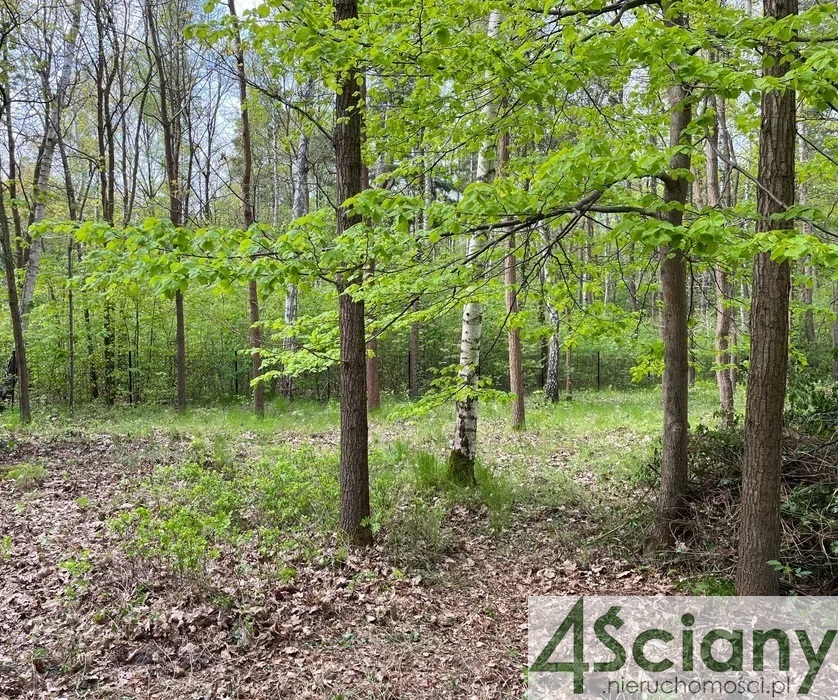 Podkowa Leśna, 2 400 000 zł, 27.61 ar, płaska miniaturka 2