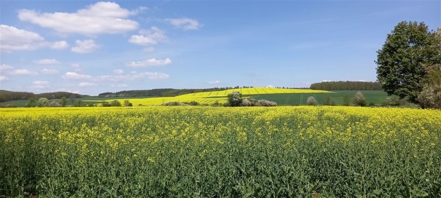 działka na sprzedaż - zdjęcie 1