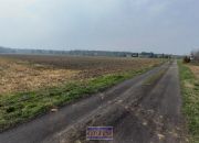 Ochodze 135 000 zł 7.59 ar miniaturka 2