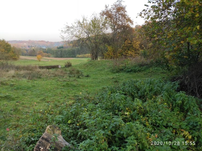 Siedliska, 125 000 zł, 1.13 ha, budowlana miniaturka 5