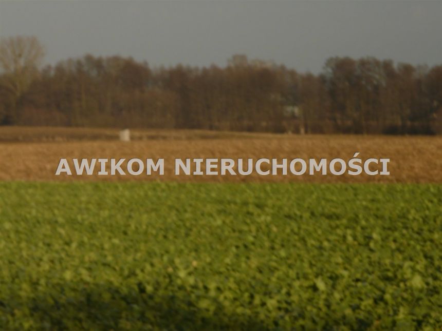 Nowy Dwór-Parcela, 167 000 zł, 1.09 ha, rolna miniaturka 8