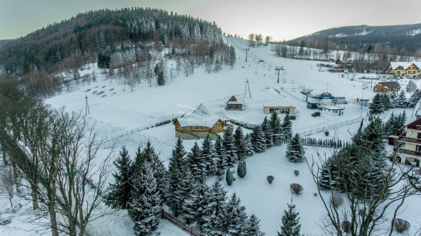 Działka 2966m2 przy samym wyciągu Bolesławów miniaturka 2