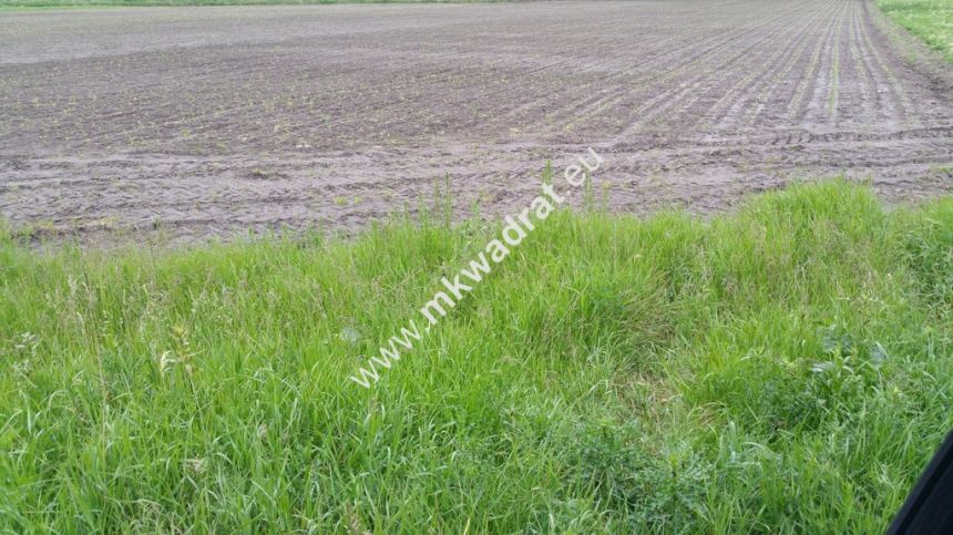 Atrakcyjny kształt, możliwość podziału. - zdjęcie 1