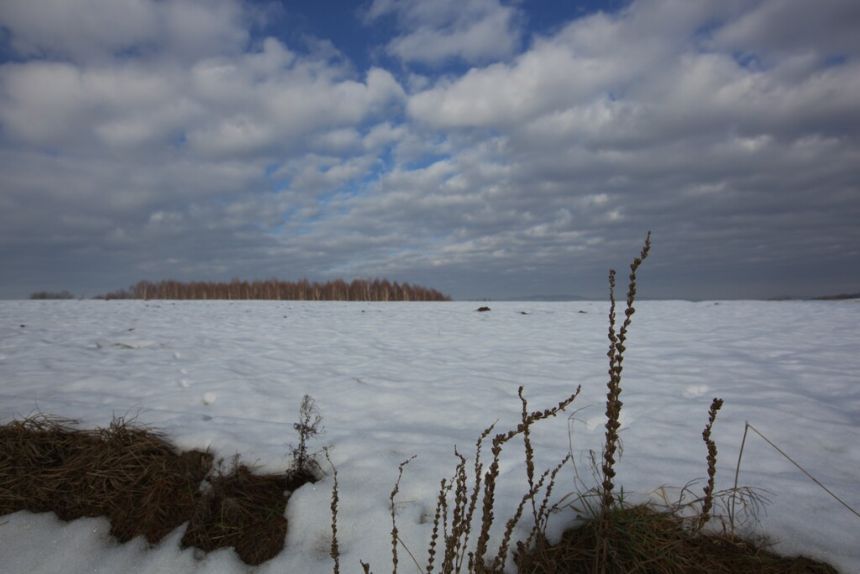 Działka rolno - budowlana (1,61ha) w Ołpinach! miniaturka 7