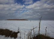 Działka rolno - budowlana (1,61ha) w Ołpinach! miniaturka 7