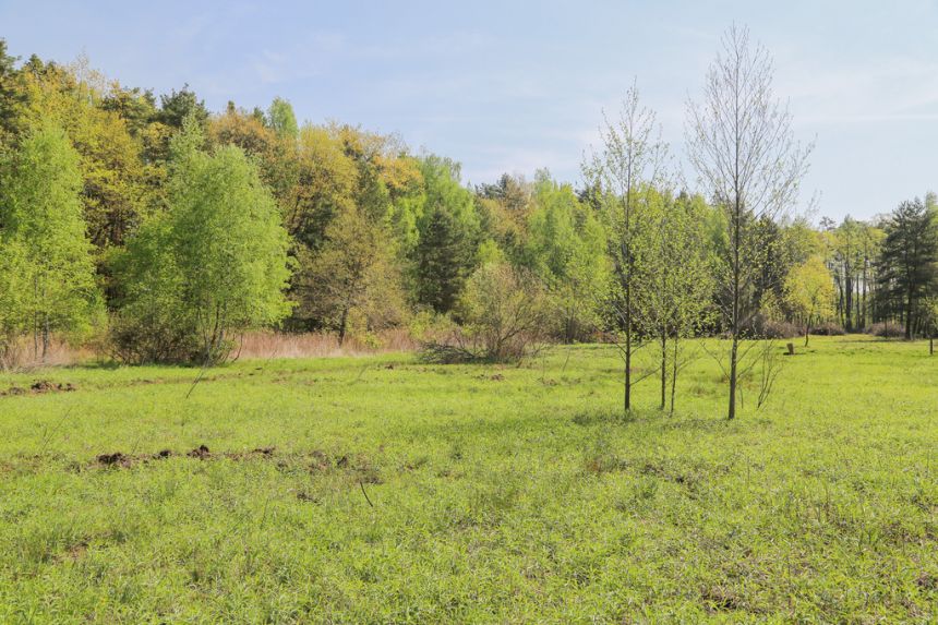 4 działki rolno-budowlane- Bielcza- Małopolska miniaturka 5