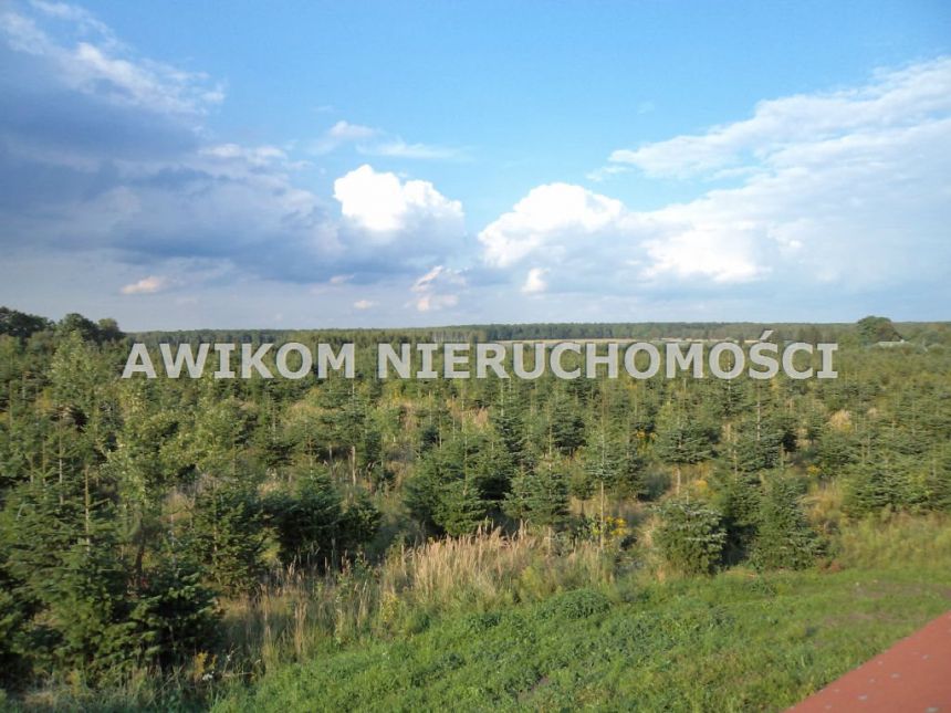 Grzegorzewice 13 900 000 zł 2463220 m2 miniaturka 7