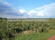 Grzegorzewice 13 900 000 zł 2463220 m2 miniaturka 7