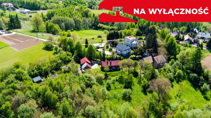 Działka rolno-budowlana z lasem miniaturka 4