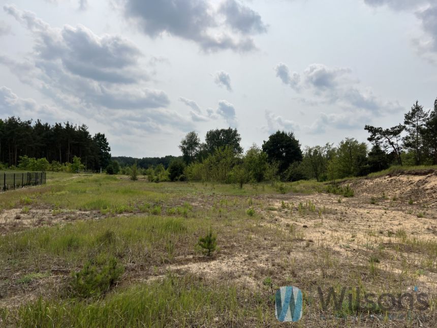 Kołaków, 2 400 000 zł, 1.5 ha, przyłącze prądu miniaturka 7