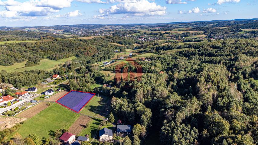 Ładna działka w zielonej okolicy, na uboczu! 38 ar miniaturka 11