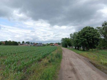 Grunt  na sprzedaż, Podrzewie, 1000.00 m2