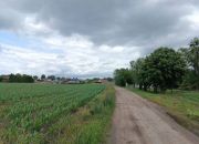 Grunt  na sprzedaż, Podrzewie, 1000.00 m2 miniaturka 1
