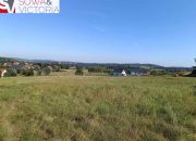 Działki  pod lasem  ok 8 km od Wałbrzycha miniaturka 9
