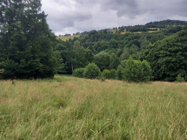 Widokowa działka otoczona lasem - brak sąsiedztwa