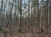 Radość rezydencyjna działka 3050m2 Zbójna Góra miniaturka 3