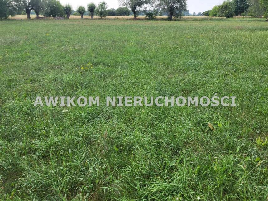 Holendry Baranowskie, 154 840 zł, 11.06 ar, woda w drodze miniaturka 11