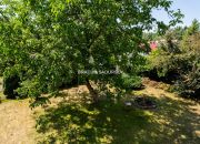 Działka ROD Brodła z domem miniaturka 22