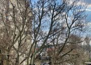 3-pokojowe mieszkanie na Pradze Południe miniaturka 14