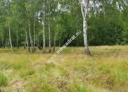 Działka Budy Grzybek 3000 m2 miniaturka 5