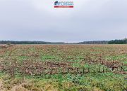 Na sprzedaż działka budowlana w Boruchowie miniaturka 2