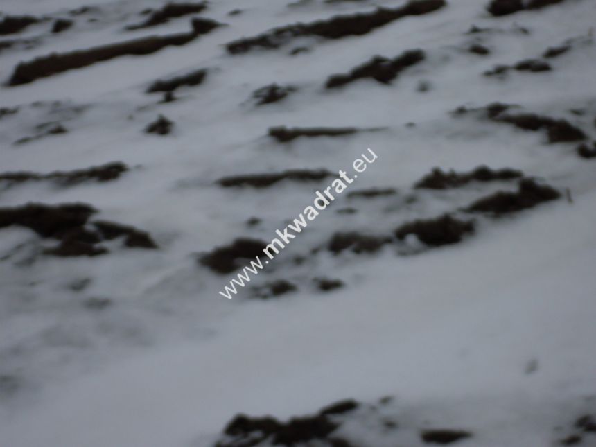 Działka 6450 m2 z domem i halą. - zdjęcie 1