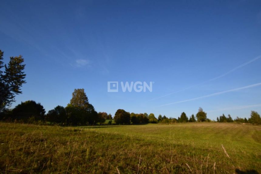 Czarne, 165 000 zł, 2.23 ha, bez nasadzeń - zdjęcie 1