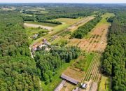 Kazimierz Dolny Siedliskowa Las rekreacja miniaturka 14