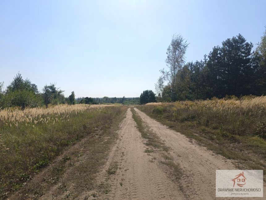 Mielenko Drawskie, 275 000 zł, 7.17 ha, rolna miniaturka 10