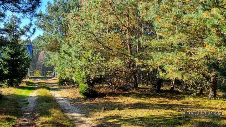 Działki na skraju wsi. Radomyśl ok. 10km od Sz-nka miniaturka 13