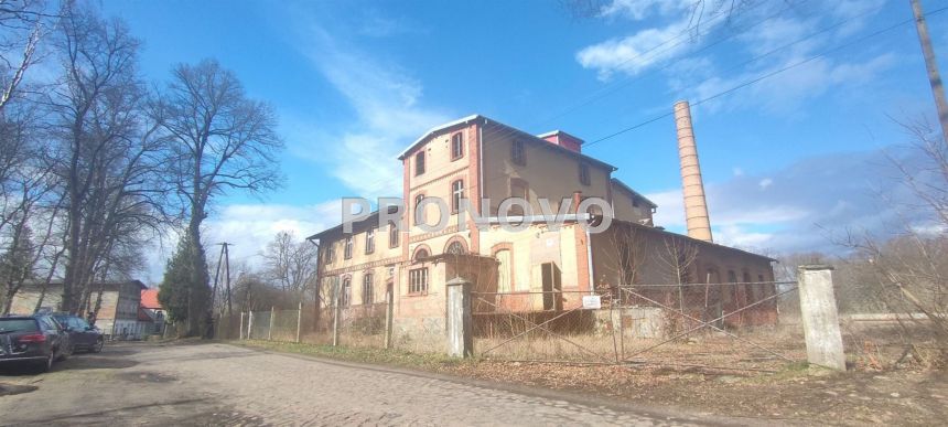 Pławno, 400 000 zł, 1.13 ha, przyłącze wodociągu - zdjęcie 1
