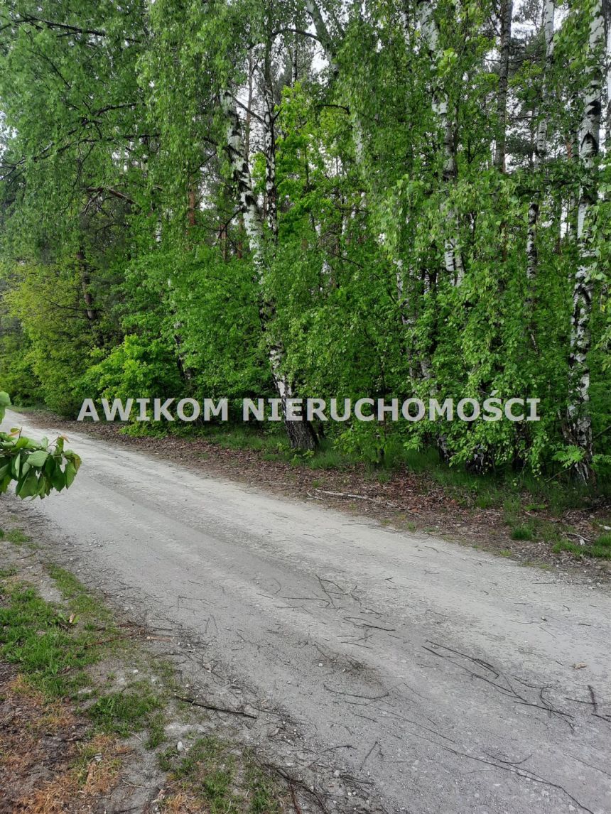 Kornelówka, 400 000 zł, 1.85 ha, przyłącze elektryczne miniaturka 3