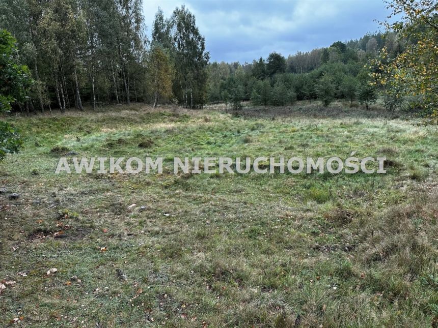 Miastko, 9 490 000 zł, 50 ha, studnia miniaturka 11